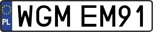 WGMEM91