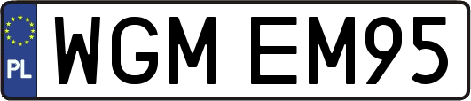 WGMEM95
