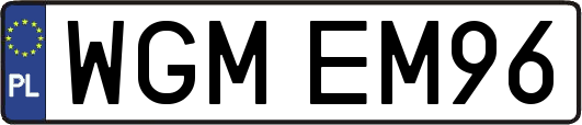 WGMEM96