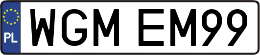 WGMEM99