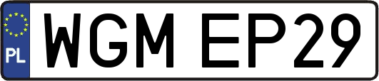 WGMEP29