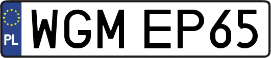 WGMEP65