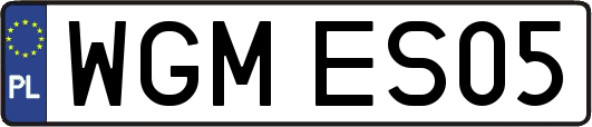 WGMES05