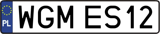 WGMES12