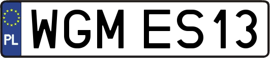 WGMES13
