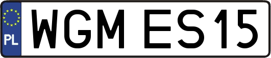 WGMES15