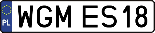 WGMES18