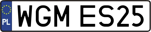 WGMES25