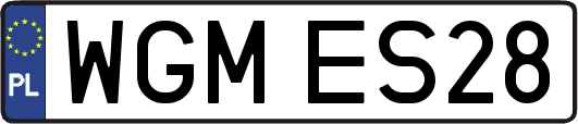 WGMES28