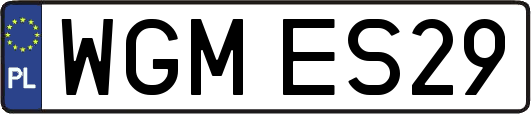 WGMES29