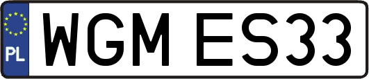 WGMES33