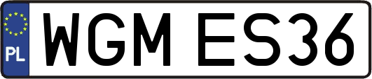 WGMES36