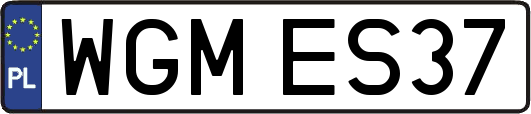WGMES37
