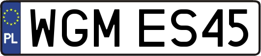 WGMES45