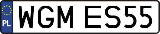 WGMES55