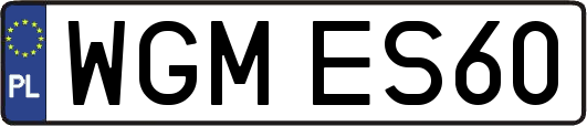 WGMES60