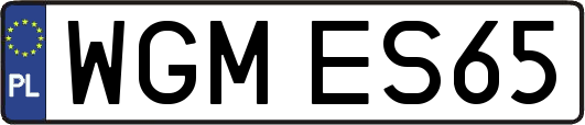 WGMES65