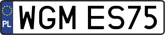 WGMES75