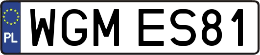 WGMES81
