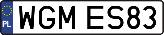 WGMES83