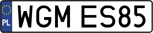 WGMES85