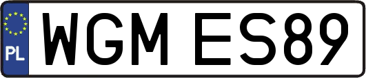 WGMES89