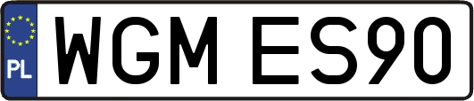 WGMES90