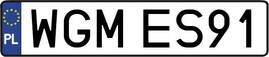 WGMES91