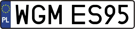 WGMES95