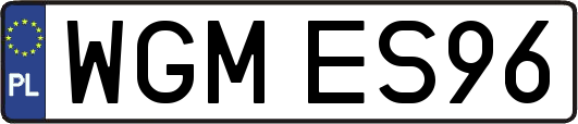 WGMES96