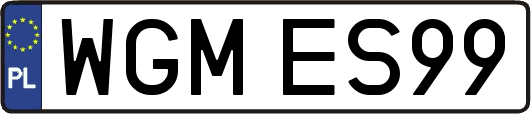 WGMES99