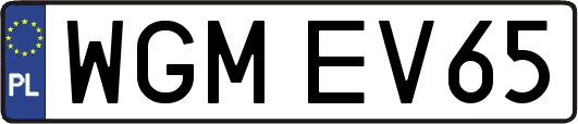 WGMEV65