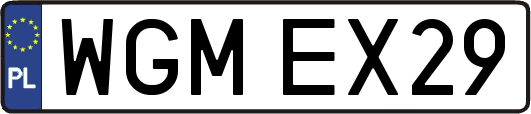 WGMEX29
