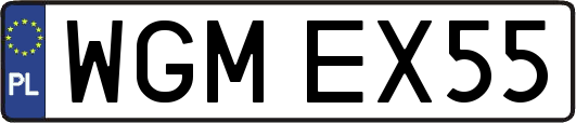 WGMEX55