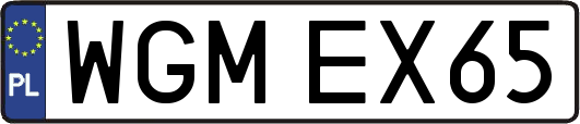 WGMEX65