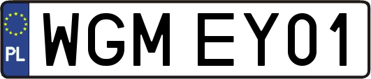 WGMEY01
