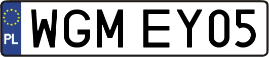 WGMEY05