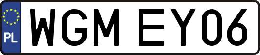 WGMEY06