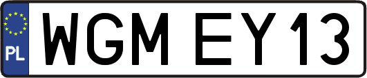 WGMEY13