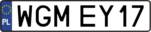 WGMEY17