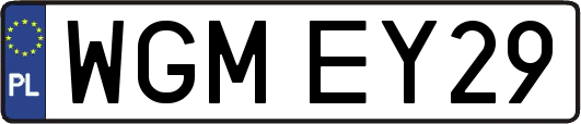 WGMEY29