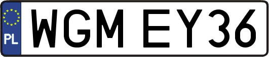 WGMEY36