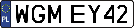 WGMEY42