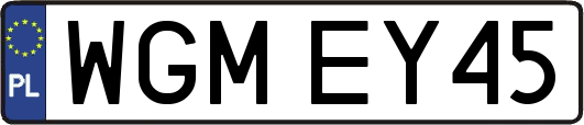 WGMEY45