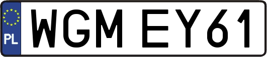 WGMEY61