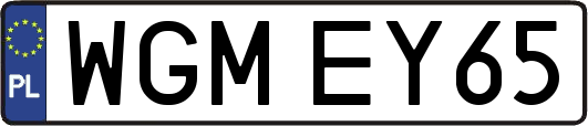 WGMEY65