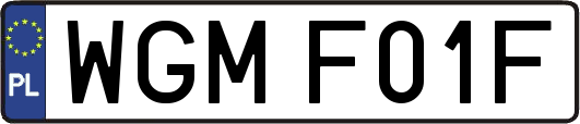 WGMF01F
