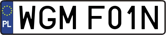 WGMF01N