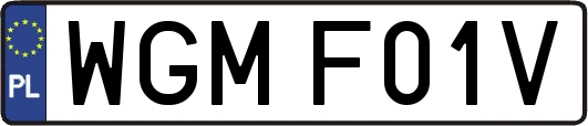 WGMF01V