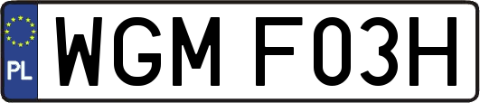 WGMF03H
